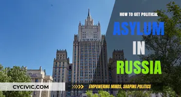 Seeking Refuge: A Guide to Political Asylum in Russia