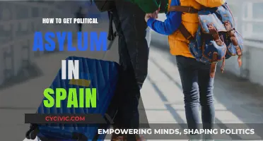 Seeking Refuge: A Guide to Political Asylum in Spain