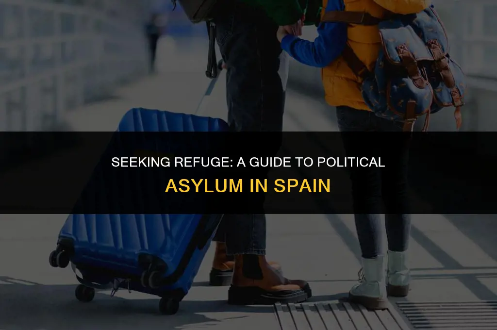 how to get political asylum in spain