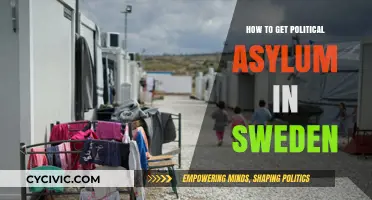 Navigating the Path to Political Asylum in Sweden: A Comprehensive Guide
