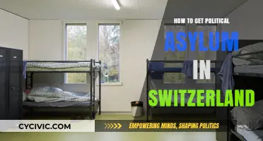 Seeking Refuge: A Guide to Political Asylum in Switzerland