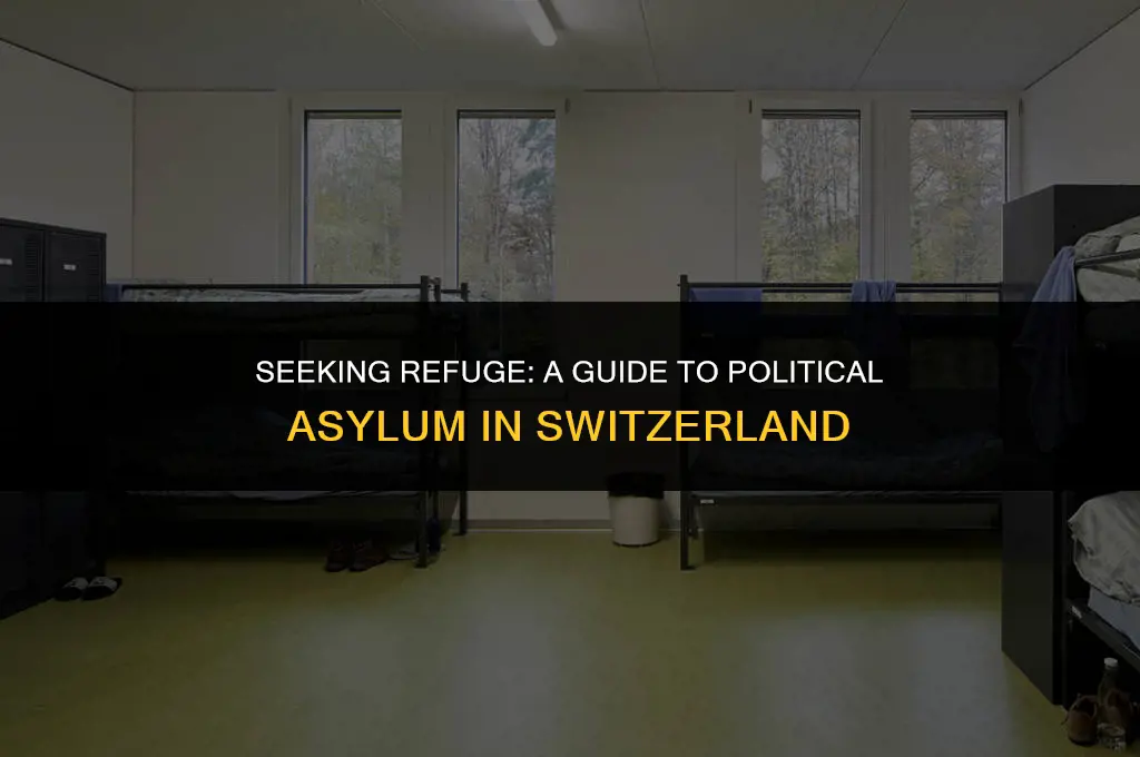 how to get political asylum in switzerland