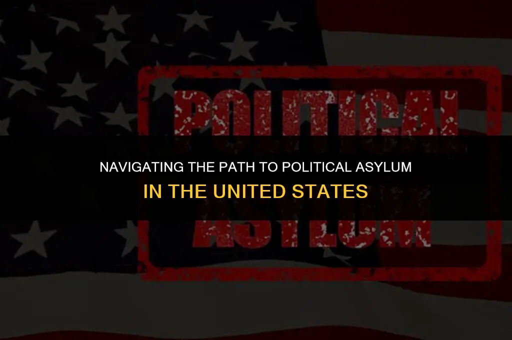 how to get political asylum in the united states
