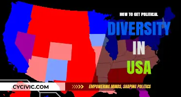 Bridging the Divide: Strategies for Political Diversity in the USA