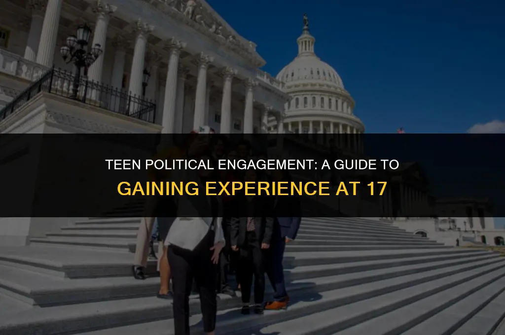 how to get political experience as a 17 year old