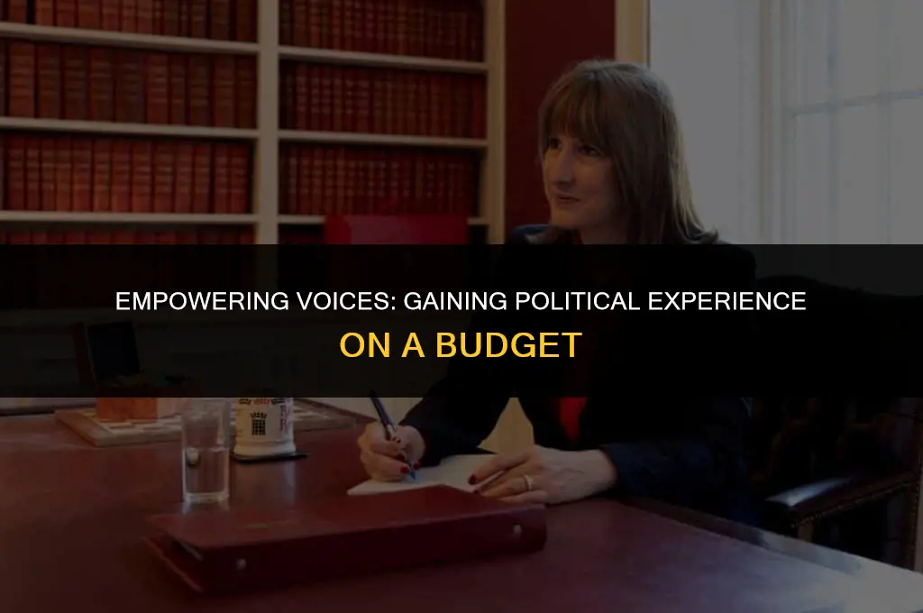 how to get political experience as a poor person