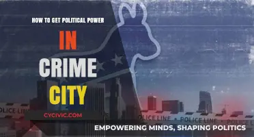 Strategies for Gaining Political Influence in a Crime-Ridden City