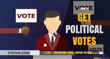 Winning the Electorate: Strategies to Garner Political Votes