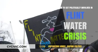 Empowering Change: A Guide to Political Involvement in the Flint Water Crisis