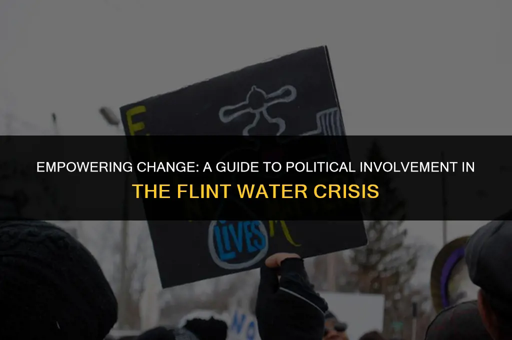 how to get politically involved in flint water crisis