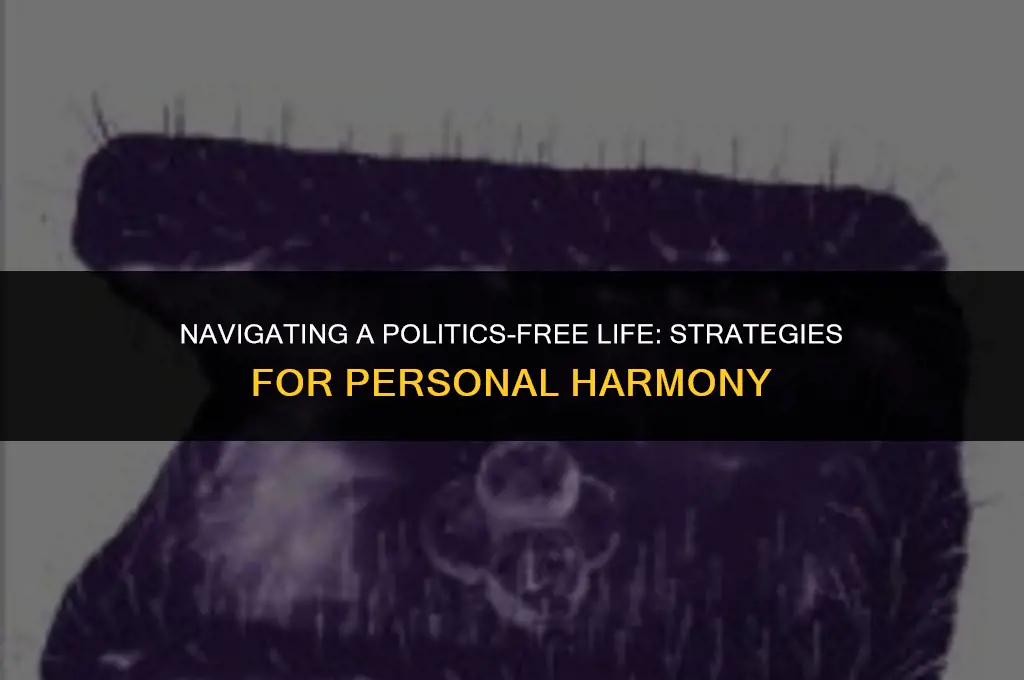 how to get politics out of life