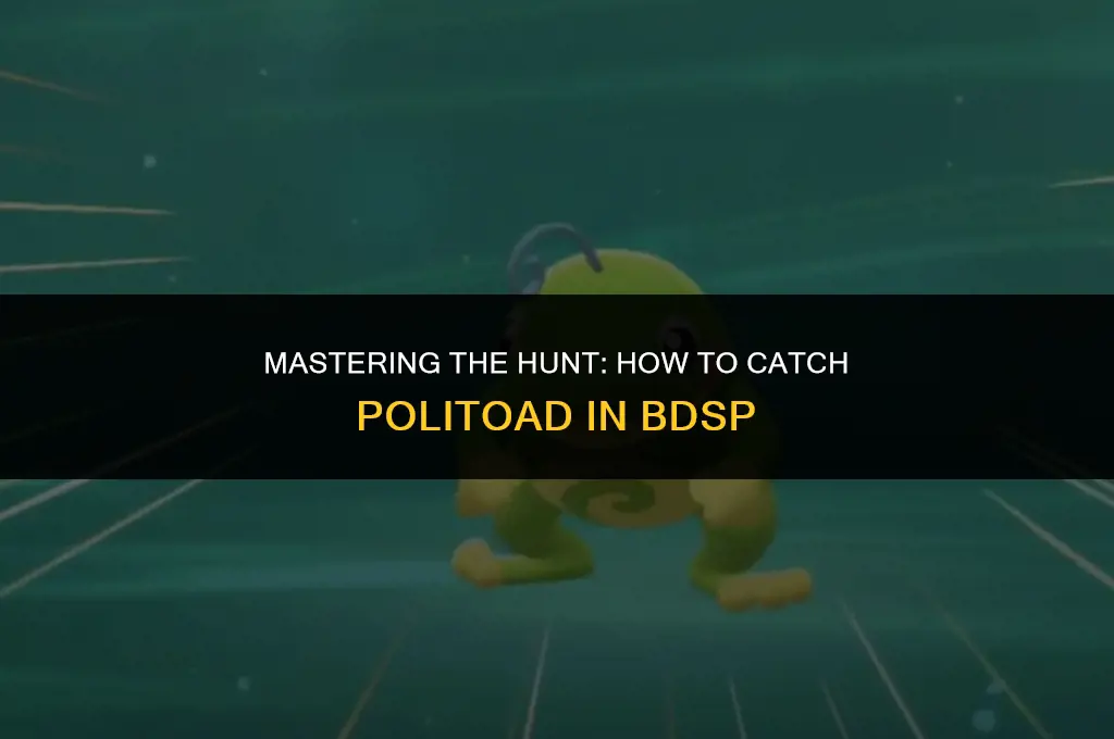 how to get politoad bdsp