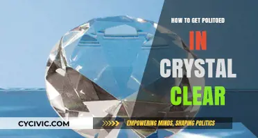 Mastering the Art of Crystal Clear Politeness: A Comprehensive Guide