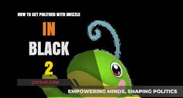 Mastering Drizzle in Pokémon Black 2: A Comprehensive Guide