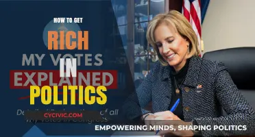 Unlocking Wealth: The Politician's Guide to Prosperity