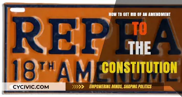 Amending the Constitution: A Guide to Reversing Changes