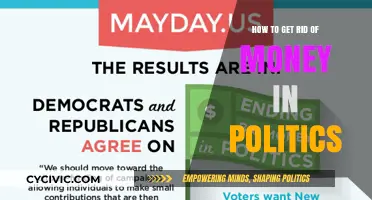 Purge the Influence: Strategies to Eliminate Money in Politics