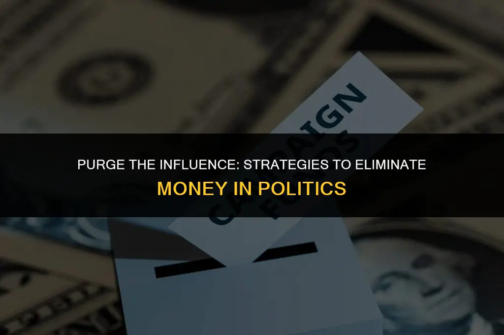 how to get rid of money in politics