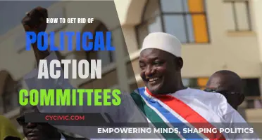 Democracy Unchained: Dismantling the Influence of Political Action Committees