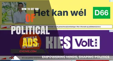 Banishing Political Ads: Reclaim Your Online Space