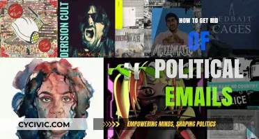 Declutter Your Inbox: A Guide to Banishing Political Emails