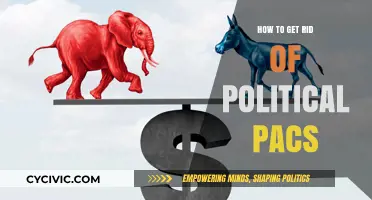 Democracy Unpac-ked: Strategies to Dismantle Political PACs