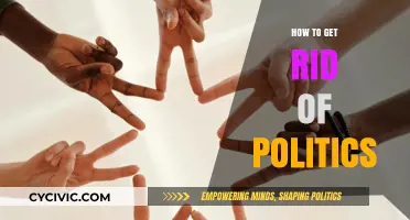 Navigating a Political Detox: Strategies for a Healthier Discourse
