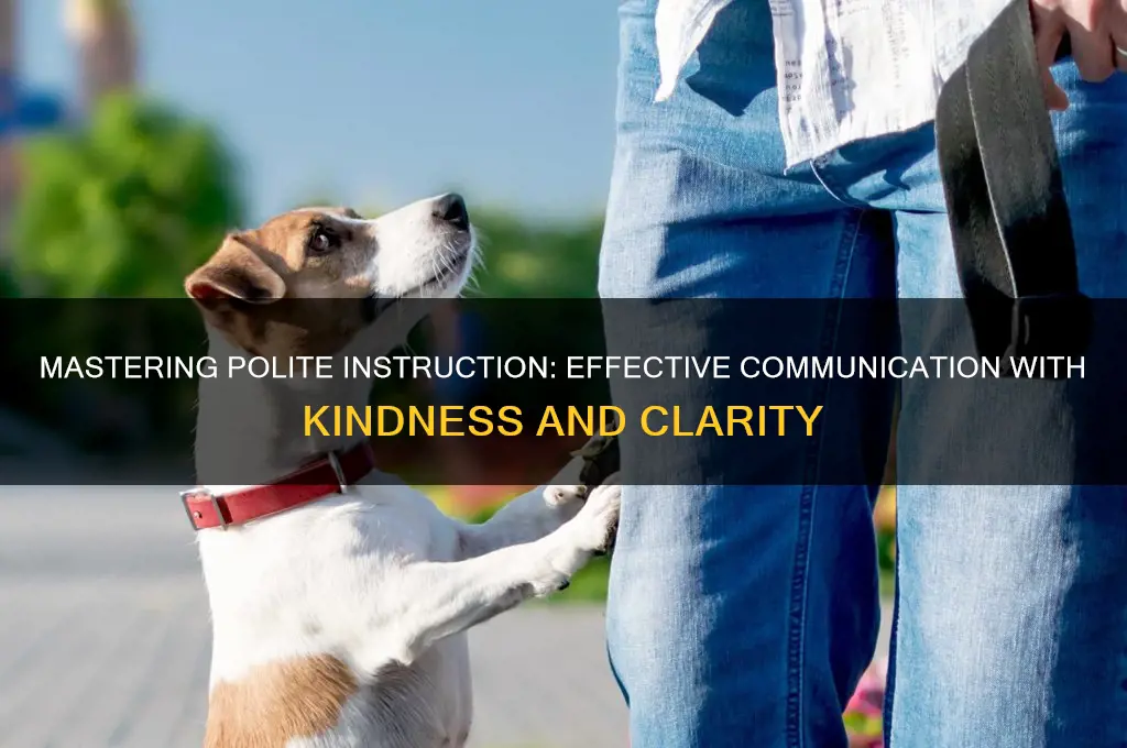 how to give instructions politely