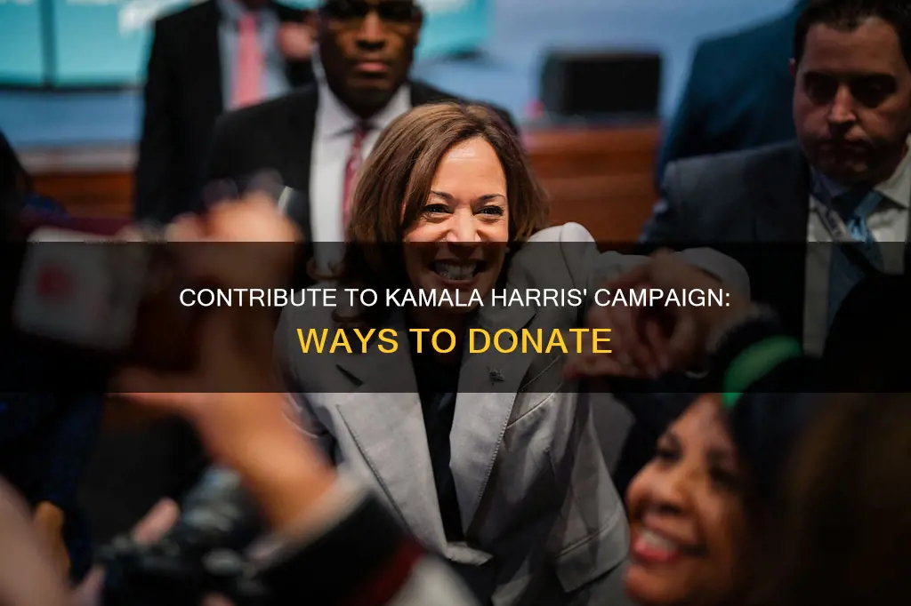 how to give to kamala harris campaign