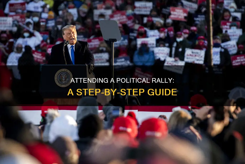 how to go to a political rally