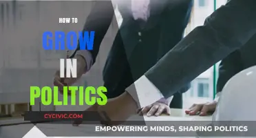 Mastering Political Growth: Strategies for Success in Public Service