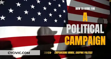 Political Campaigning: A Practical Guide to Success