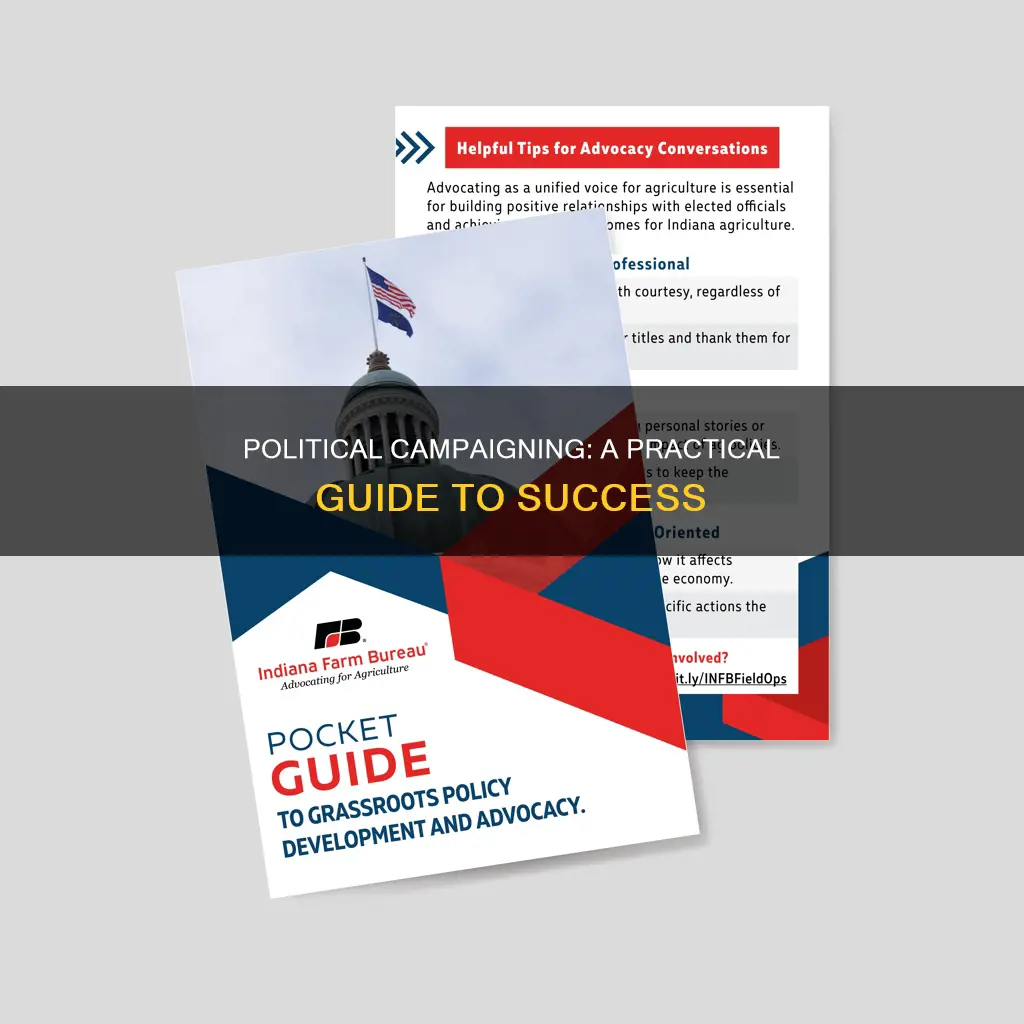 how to guide for a political campaign