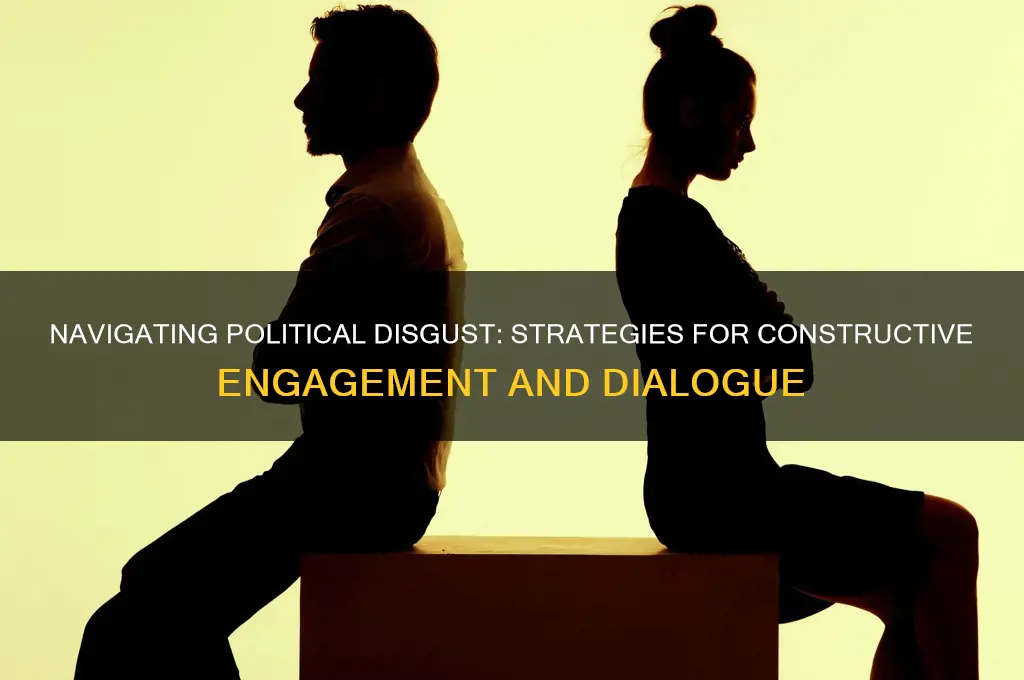 how to handle disgust politically