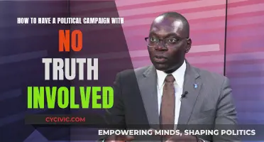 Untruths Win: Strategies for a Politically Successful Campaign