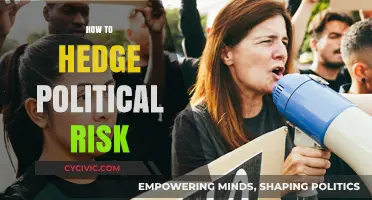 Mitigating Political Uncertainty: Strategies to Hedge Political Risk Effectively