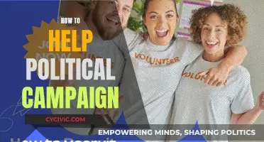 Volunteering for Victory: Political Campaign Strategies