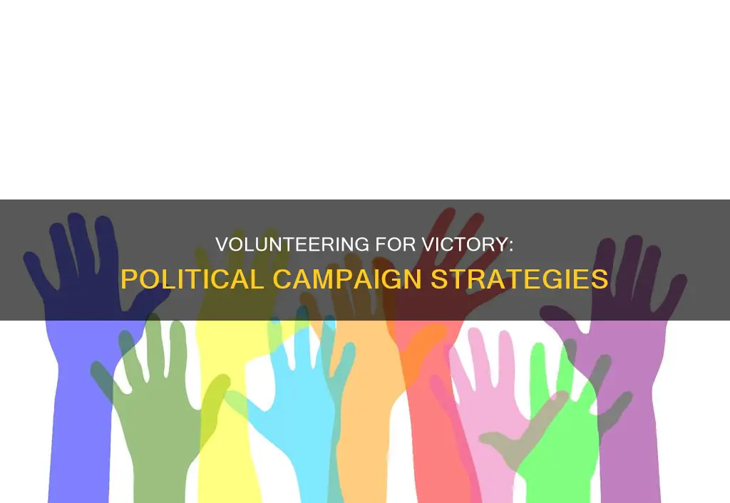 how to help political campaign