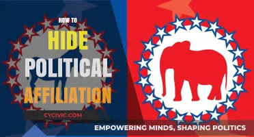 Concealing Political Beliefs: A Guide to Privacy in Polarized Times