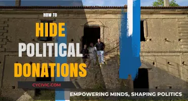 Concealing Political Contributions: Strategies for Anonymous Campaign Donations