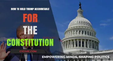 Trump's Constitutional Accountability: A Guide to Action