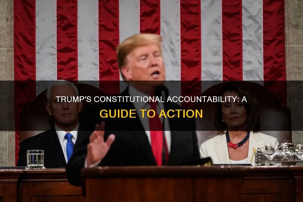 how to hold trump accountable for the constitution
