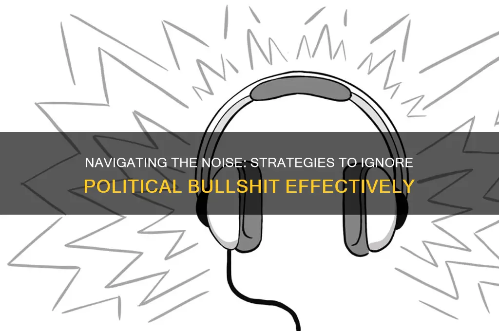 how to ignore political bullshit