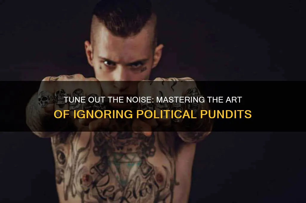 how to ignore political pundits