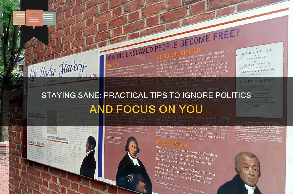 how to ignore politics