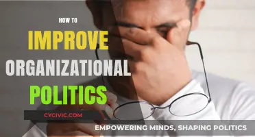 Navigating Organizational Politics: Strategies for a Healthier Workplace Culture