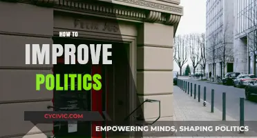 Revitalizing Democracy: Practical Strategies to Improve Politics and Governance