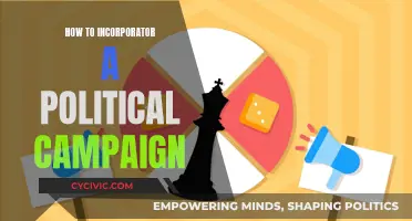 Strategies for Running a Successful Political Campaign