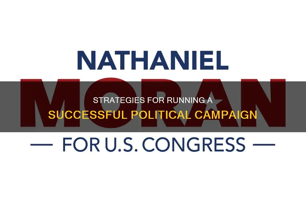 how to incorporator a political campaign