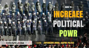 Mastering Influence: Strategies to Amplify Your Political Power Effectively